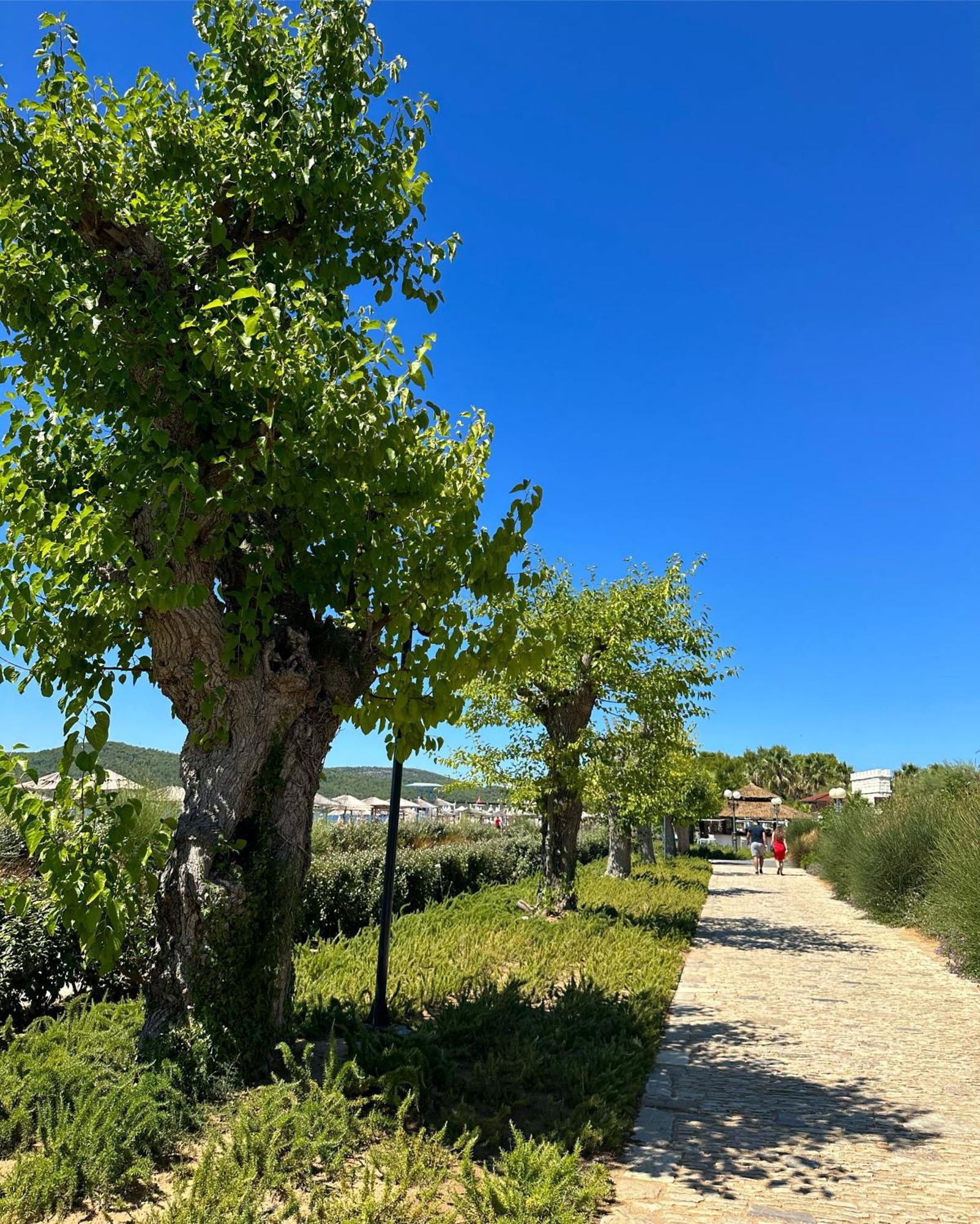 Villa Doris, Amadria Park שיבניק מראה חיצוני תמונה